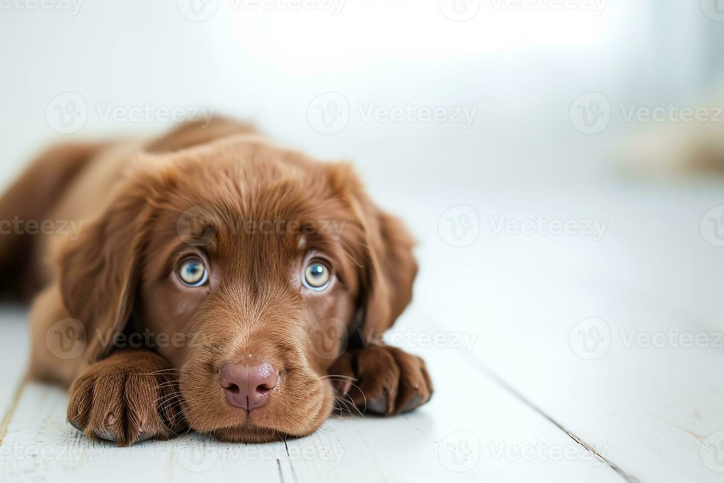 ai gerado adorável Castanho cachorro em branco fundo foto