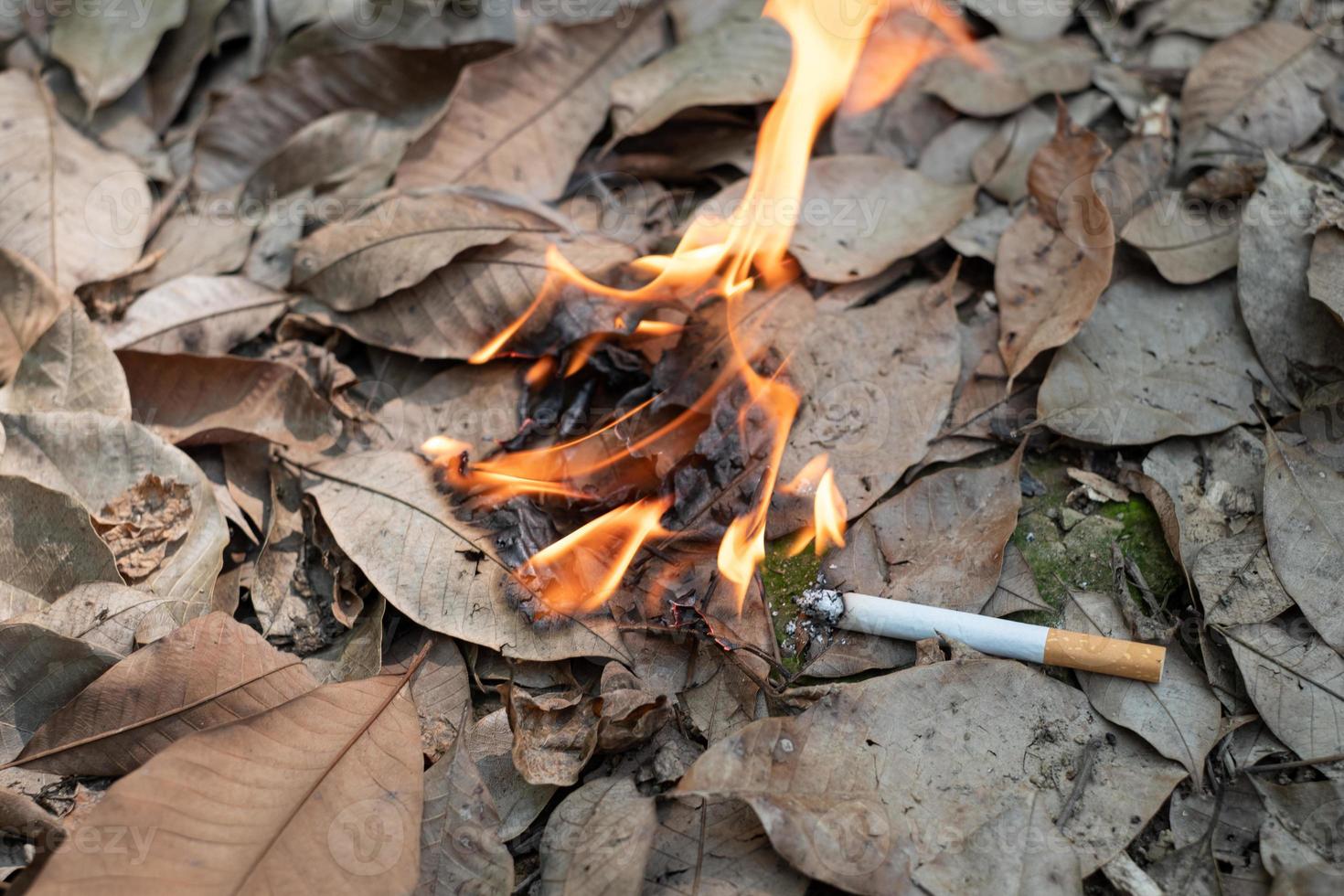 close up bitucas de cigarro não fumadas descuidadamente são jogadas na grama seca no chão causando um perigoso incêndio florestal foto