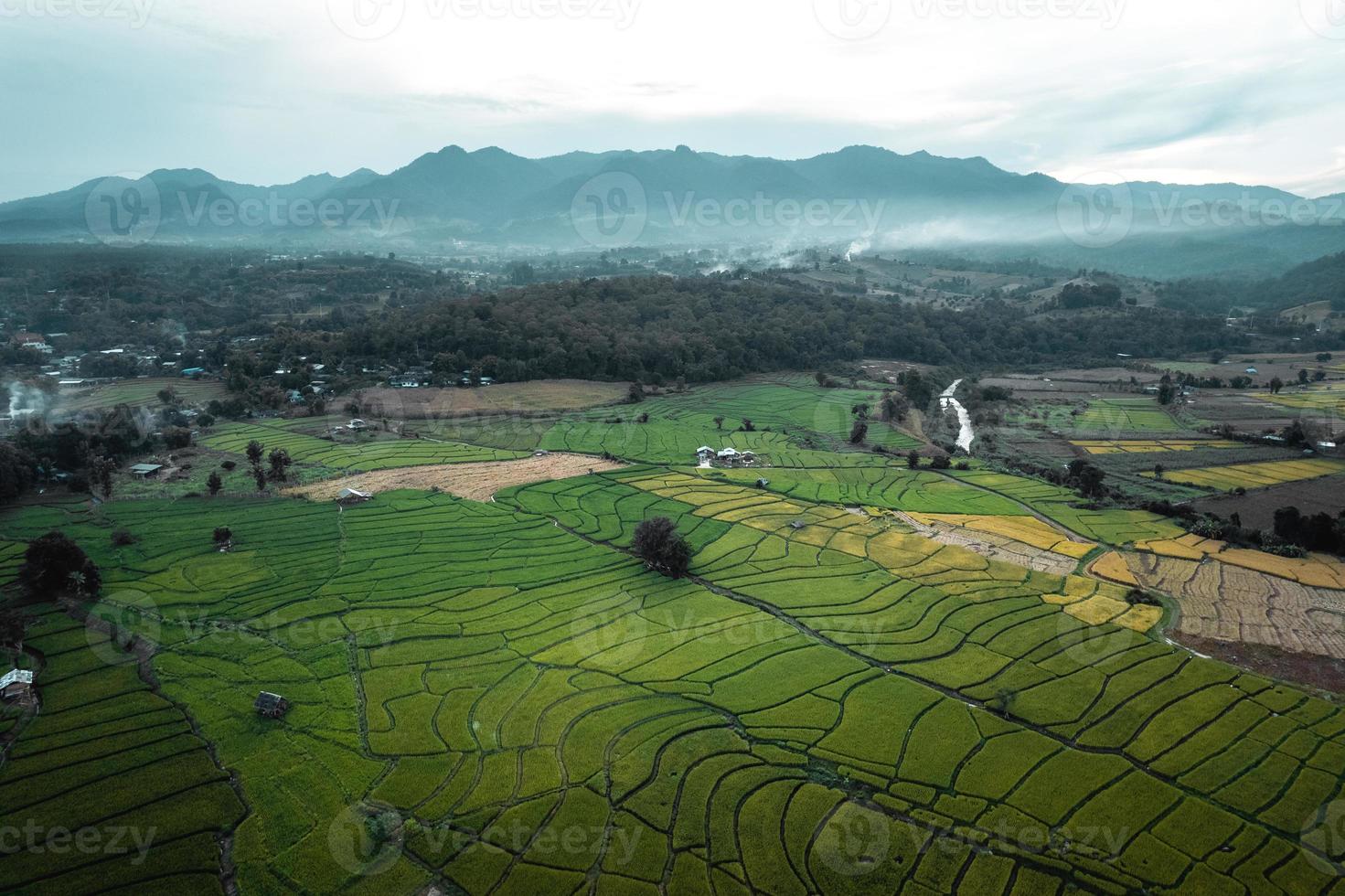 campos verdes de arroz e agricultura vista de alto ângulo foto