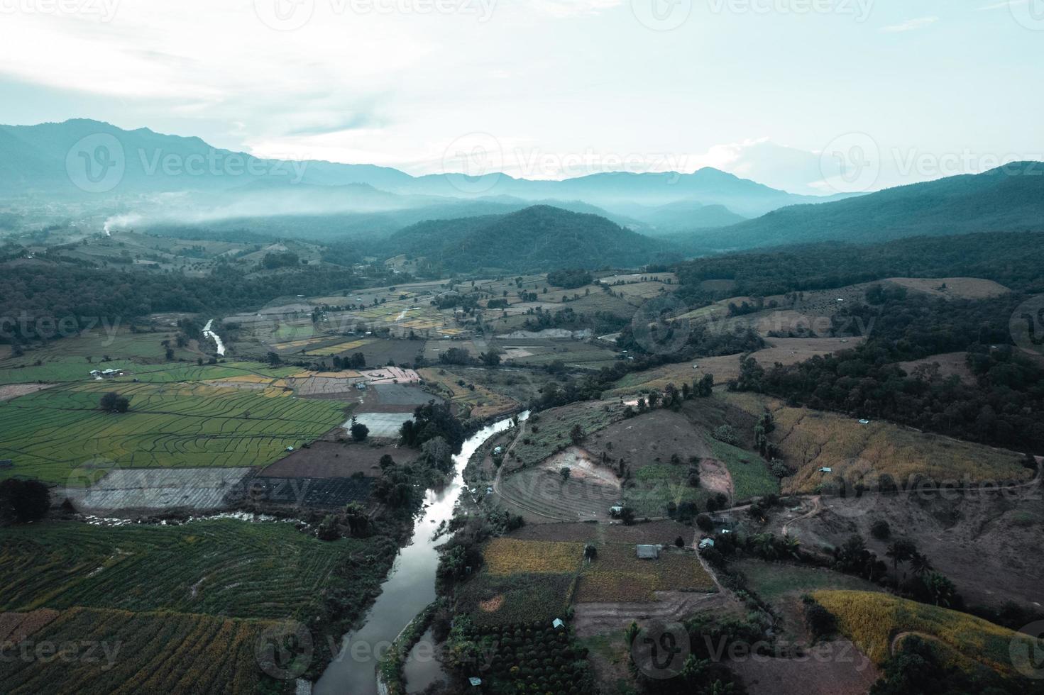 campos verdes de arroz e agricultura vista de alto ângulo foto