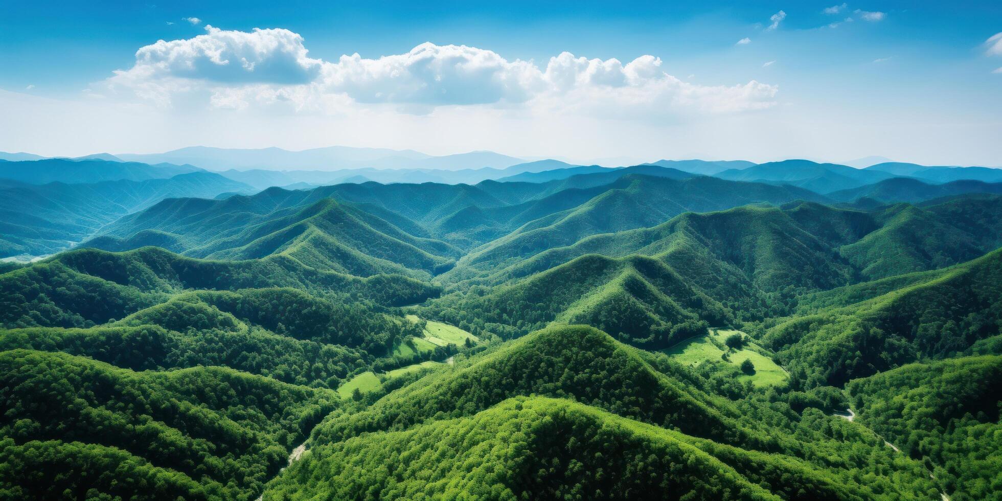 ai gerado uma panorama aéreo imagem do montanhas do verde florestas, ecológico artesanato foto