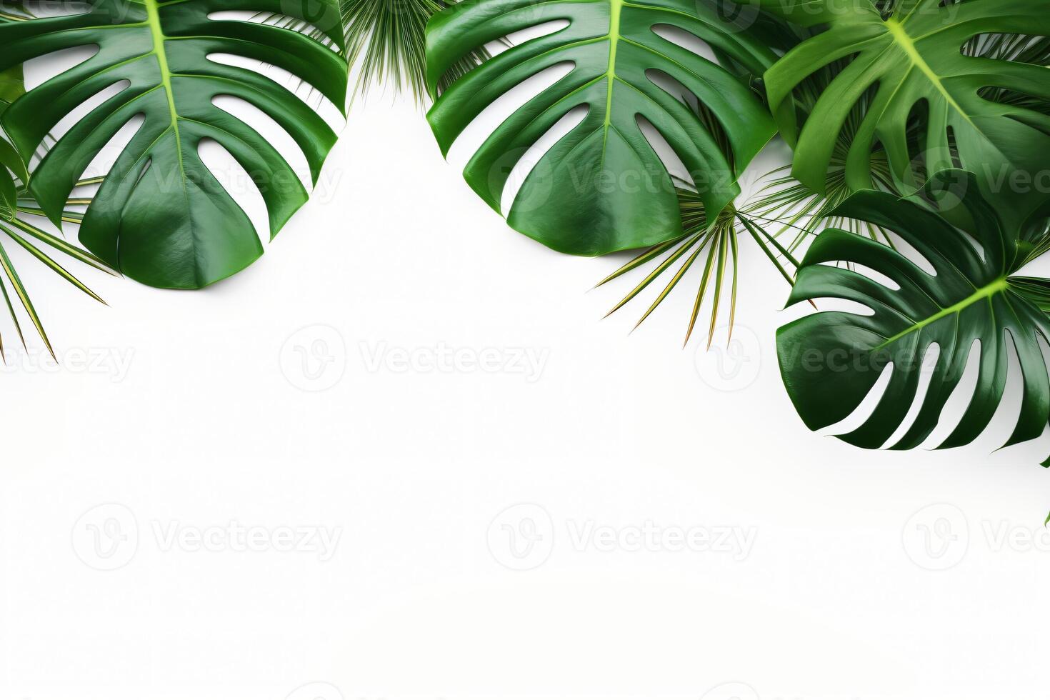 ai gerado foto verde tropical Palma folhas monstera em branco fundo generativo ai