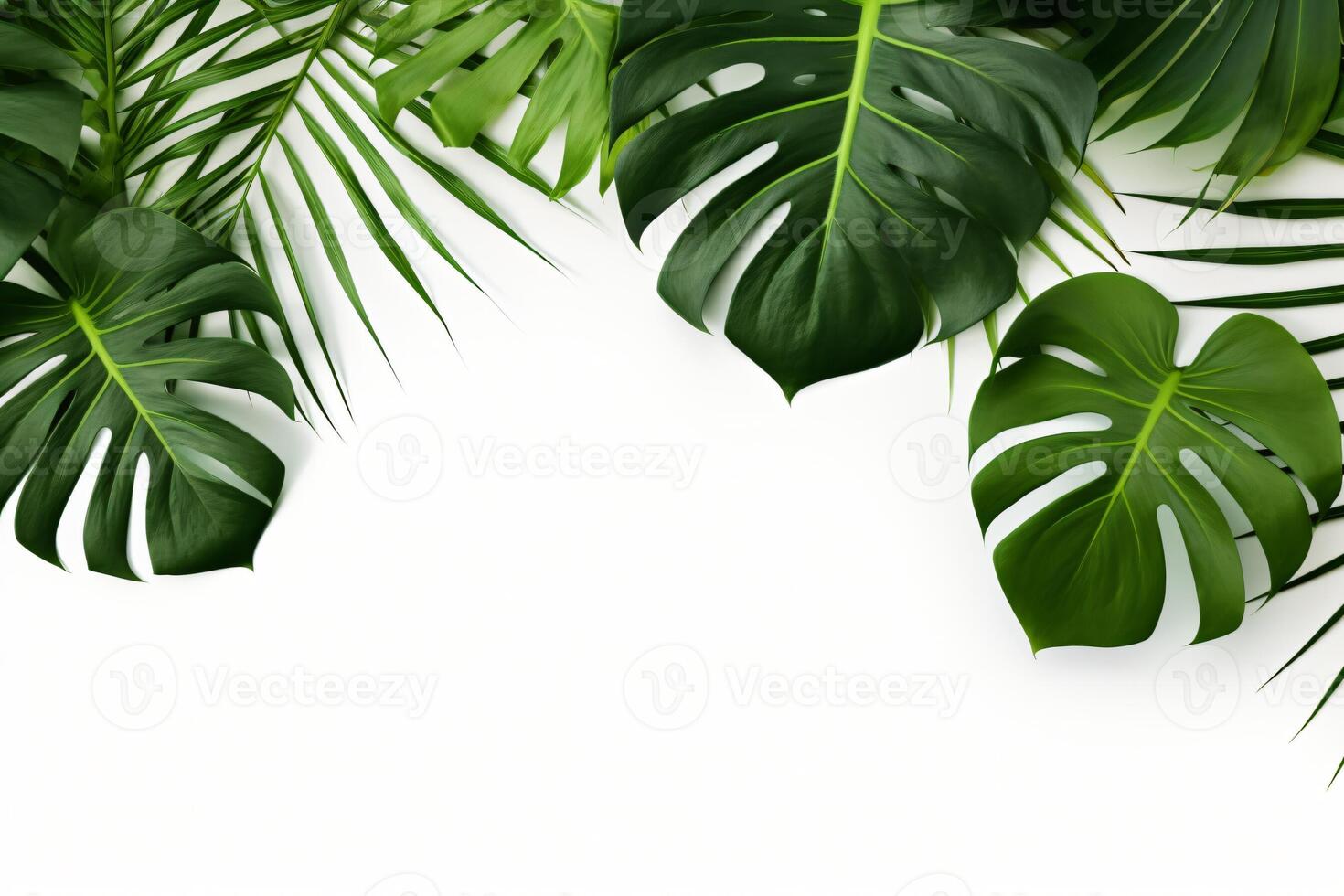 ai gerado foto verde tropical Palma folhas monstera em branco fundo generativo ai