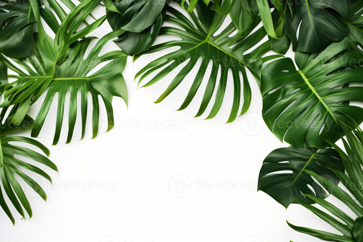 ai gerado foto verde tropical Palma folhas monstera em branco fundo generativo ai