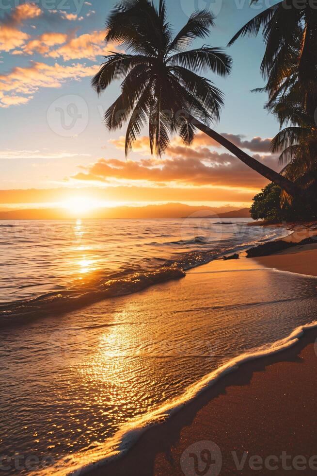ai gerado ensolarado exótico de praia de a oceano com Palma árvores às pôr do sol verão período de férias gerar ai foto