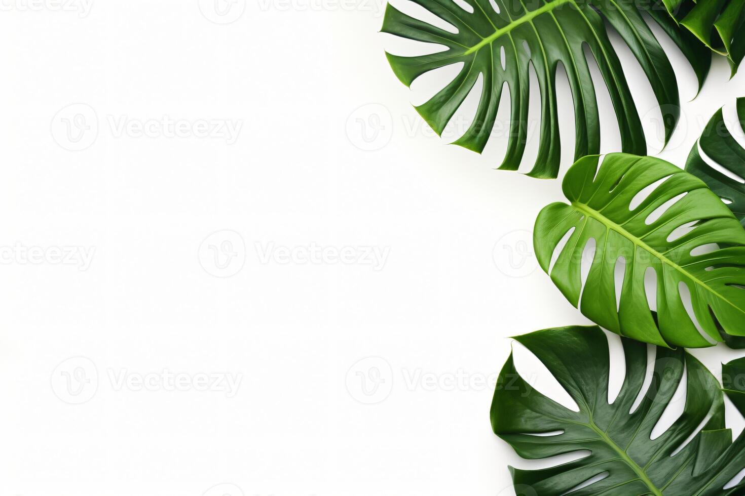 ai gerado foto verde tropical Palma folhas monstera em branco fundo generativo ai