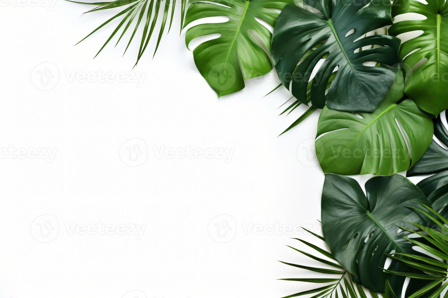 ai gerado foto verde tropical Palma folhas monstera em branco fundo generativo ai