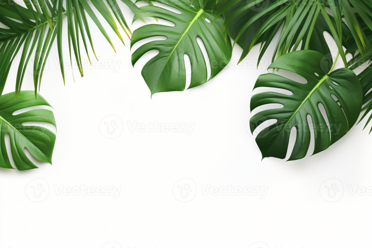 ai gerado foto verde tropical Palma folhas monstera em branco fundo generativo ai