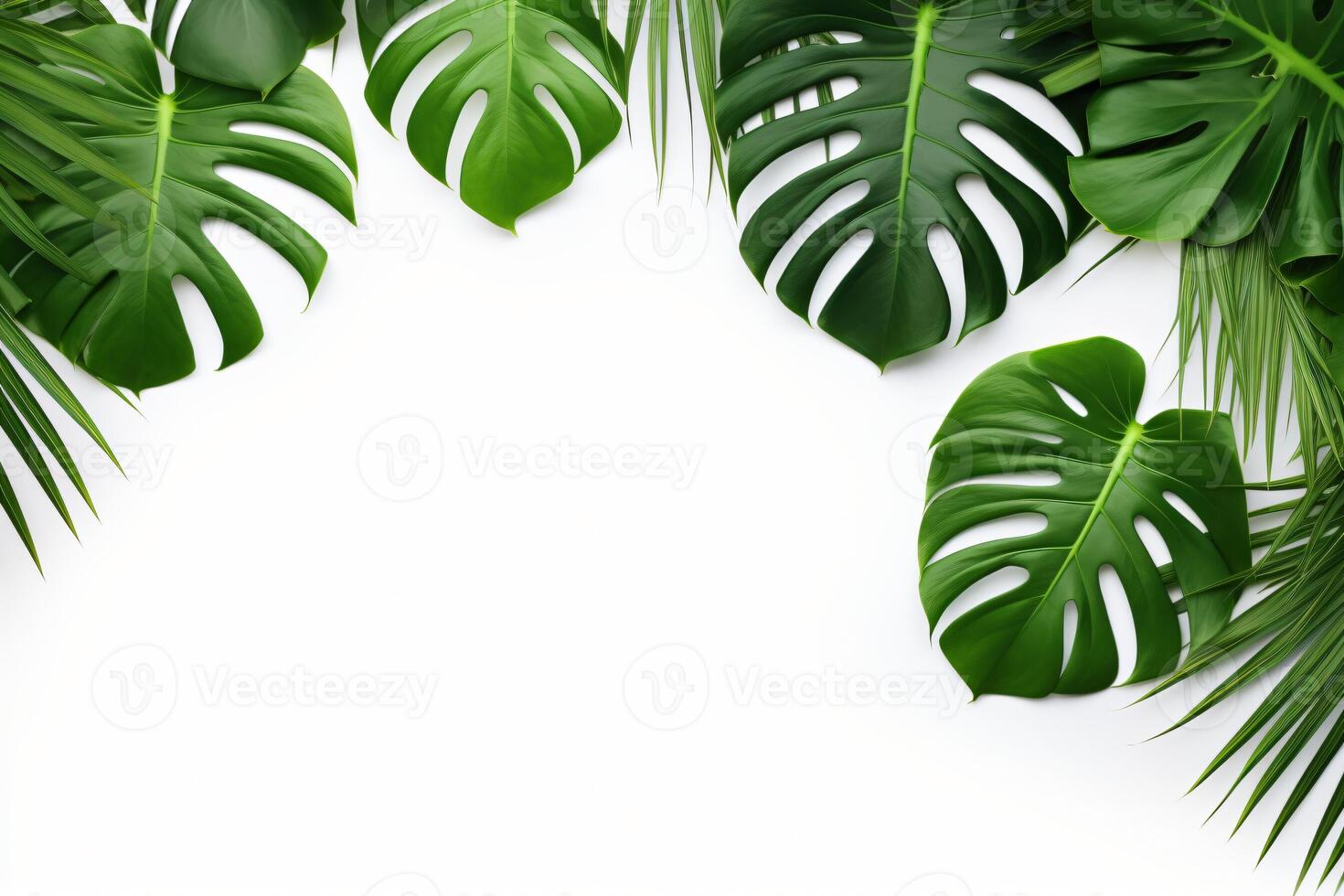 ai gerado foto verde tropical Palma folhas monstera em branco fundo generativo ai