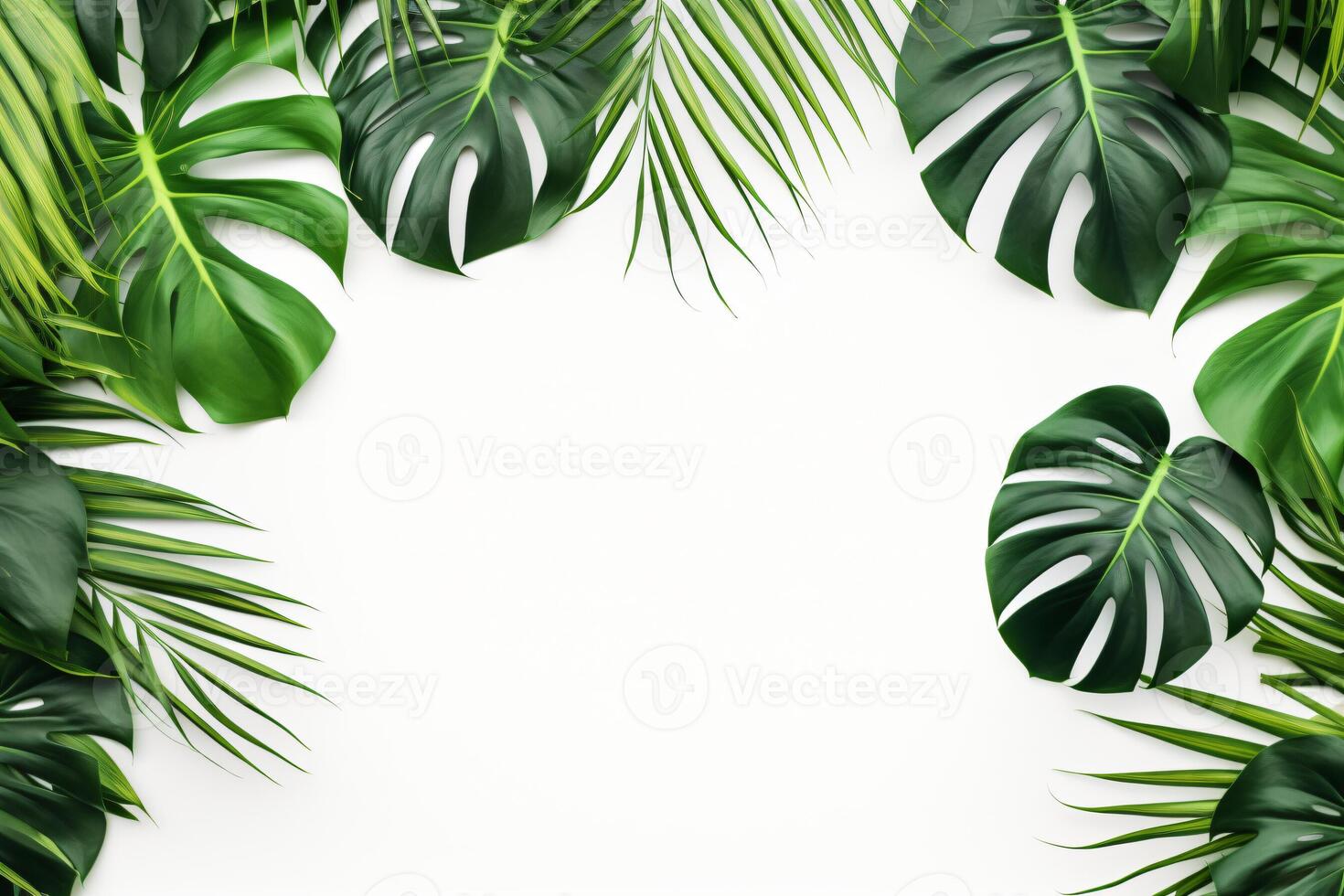 ai gerado foto verde tropical Palma folhas monstera em branco fundo generativo ai