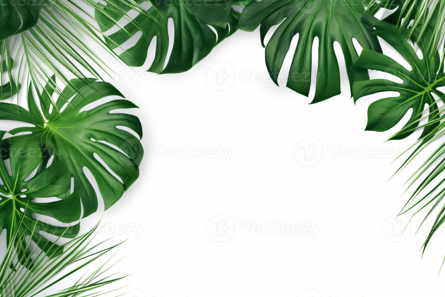 ai gerado foto verde tropical Palma folhas monstera em branco fundo generativo ai