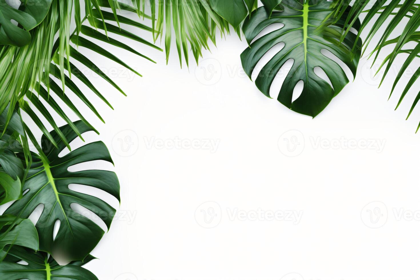 ai gerado foto verde tropical Palma folhas monstera em branco fundo generativo ai