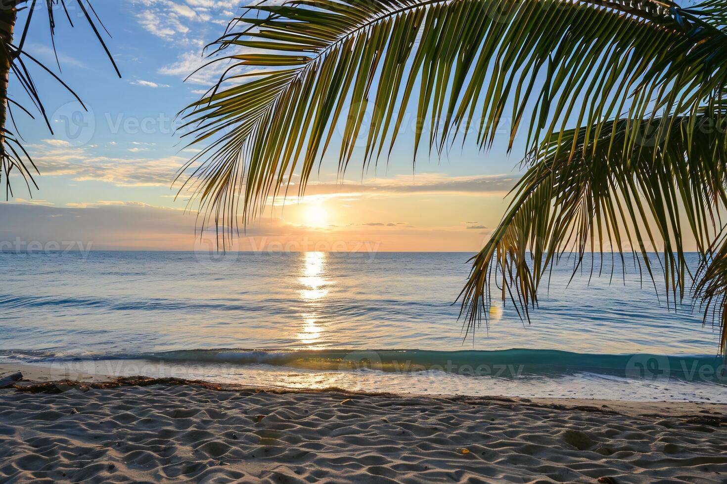 ai gerado ensolarado exótico de praia de a oceano com Palma árvores às pôr do sol verão período de férias gerar ai foto