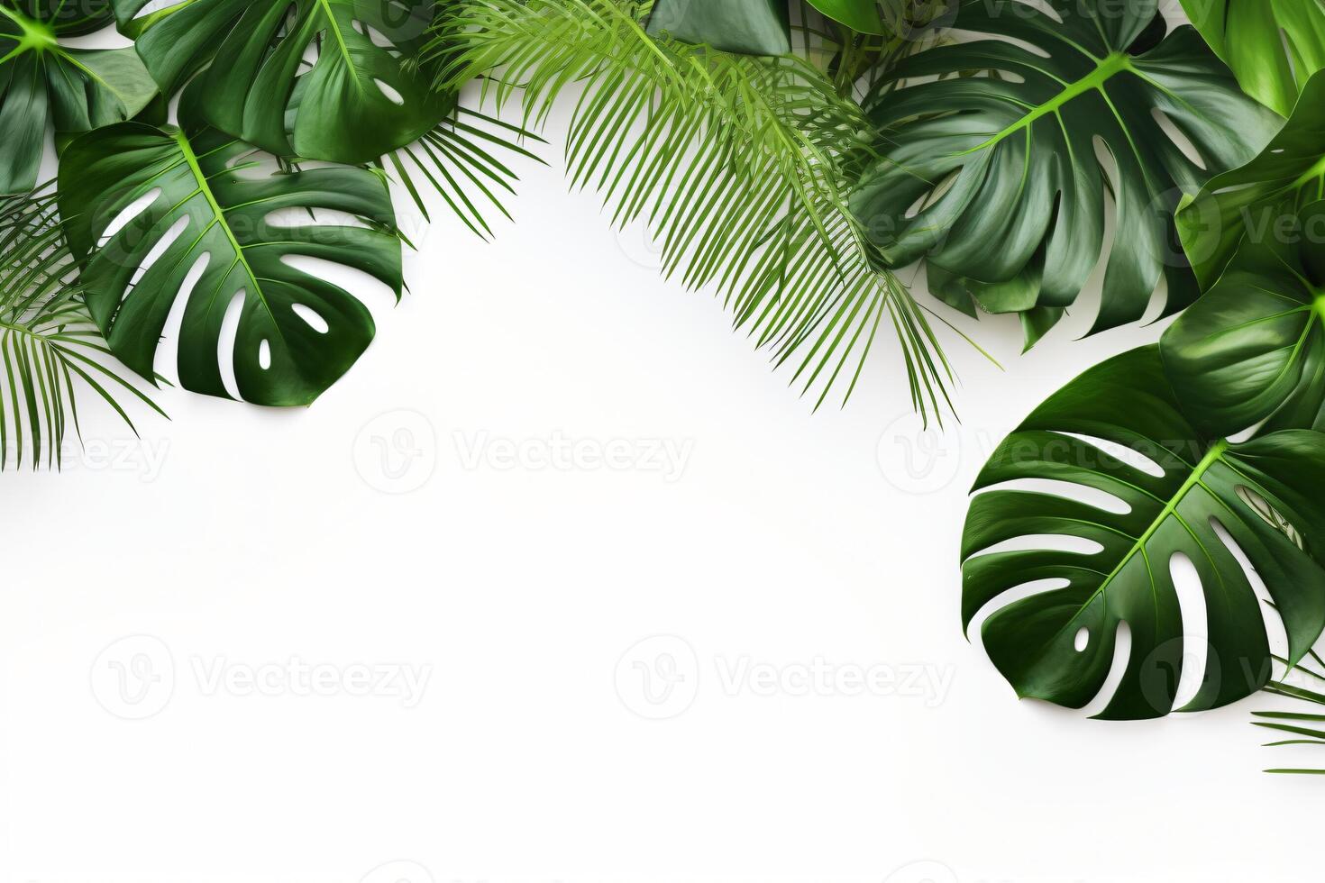 ai gerado foto verde tropical Palma folhas monstera em branco fundo generativo ai