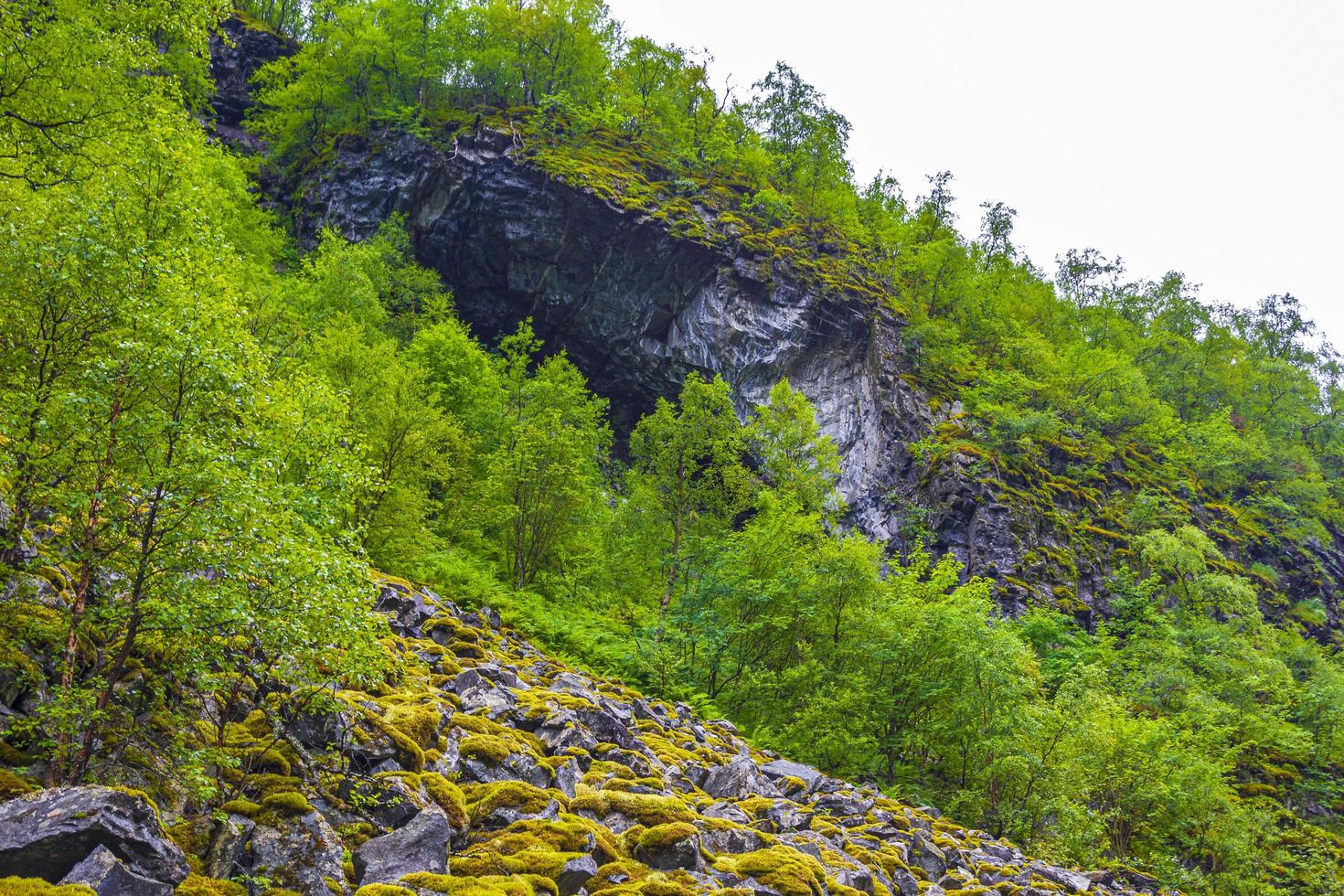 penhasco rochas musgo natureza norueguesa através de montanhas florestas utladalen noruega. foto