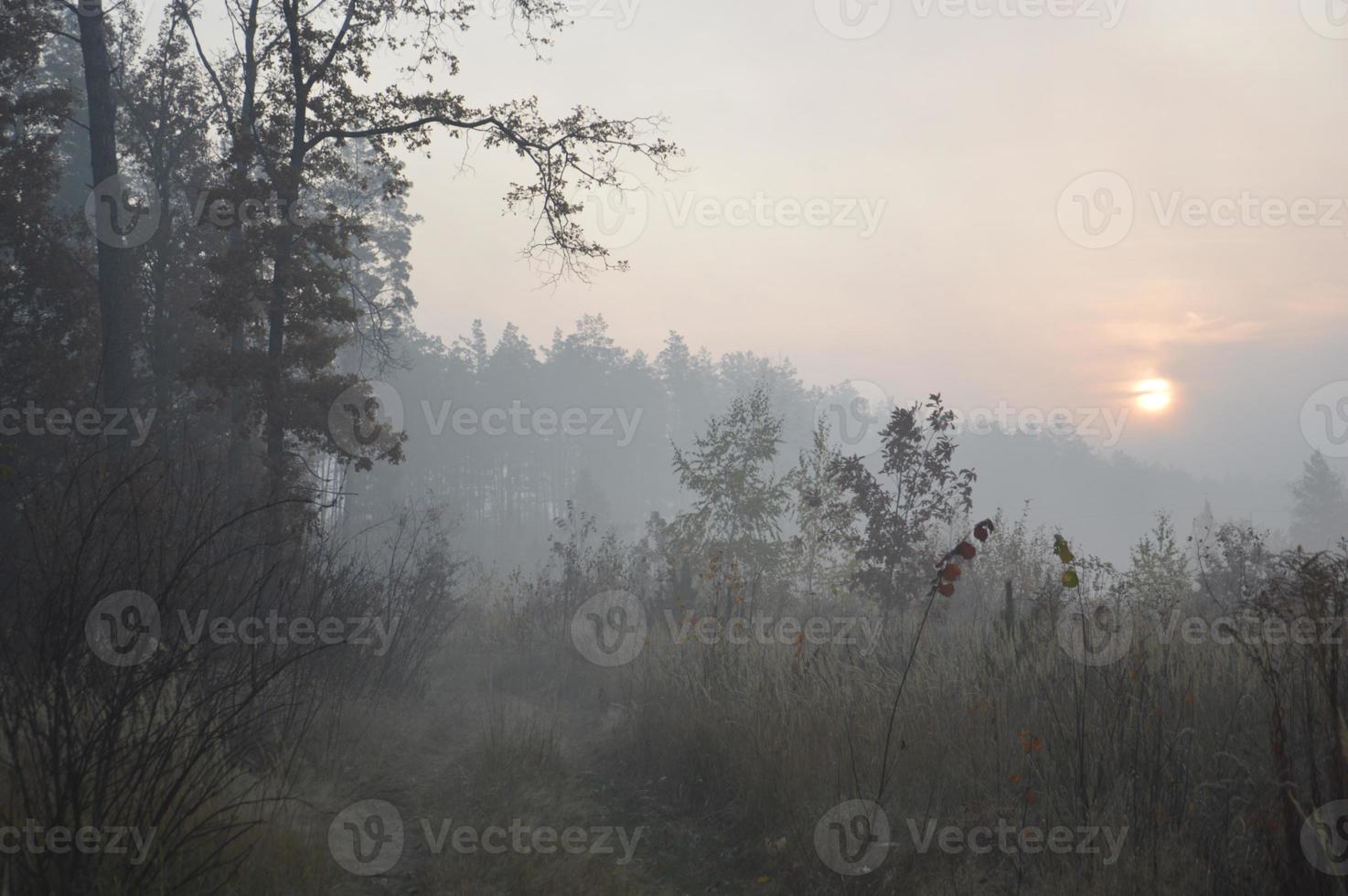 o sol da manhã nasce no horizonte na floresta e na aldeia foto