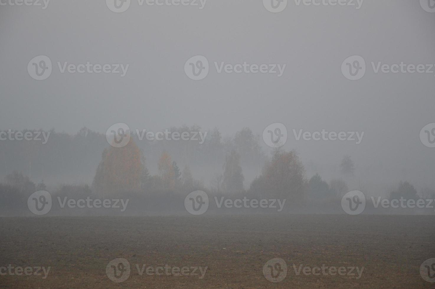 nevoeiro matinal e neblina na floresta e na aldeia foto