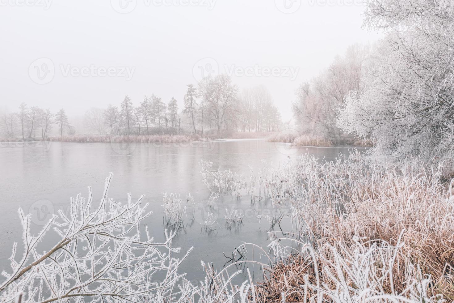 floresta de inverno no rio ao pôr do sol. paisagem panorâmica com árvores nevadas, sol, lindo rio congelado com reflexo na água. sazonal. árvores de inverno, lago e céu azul. rio gelado de neve. clima foto