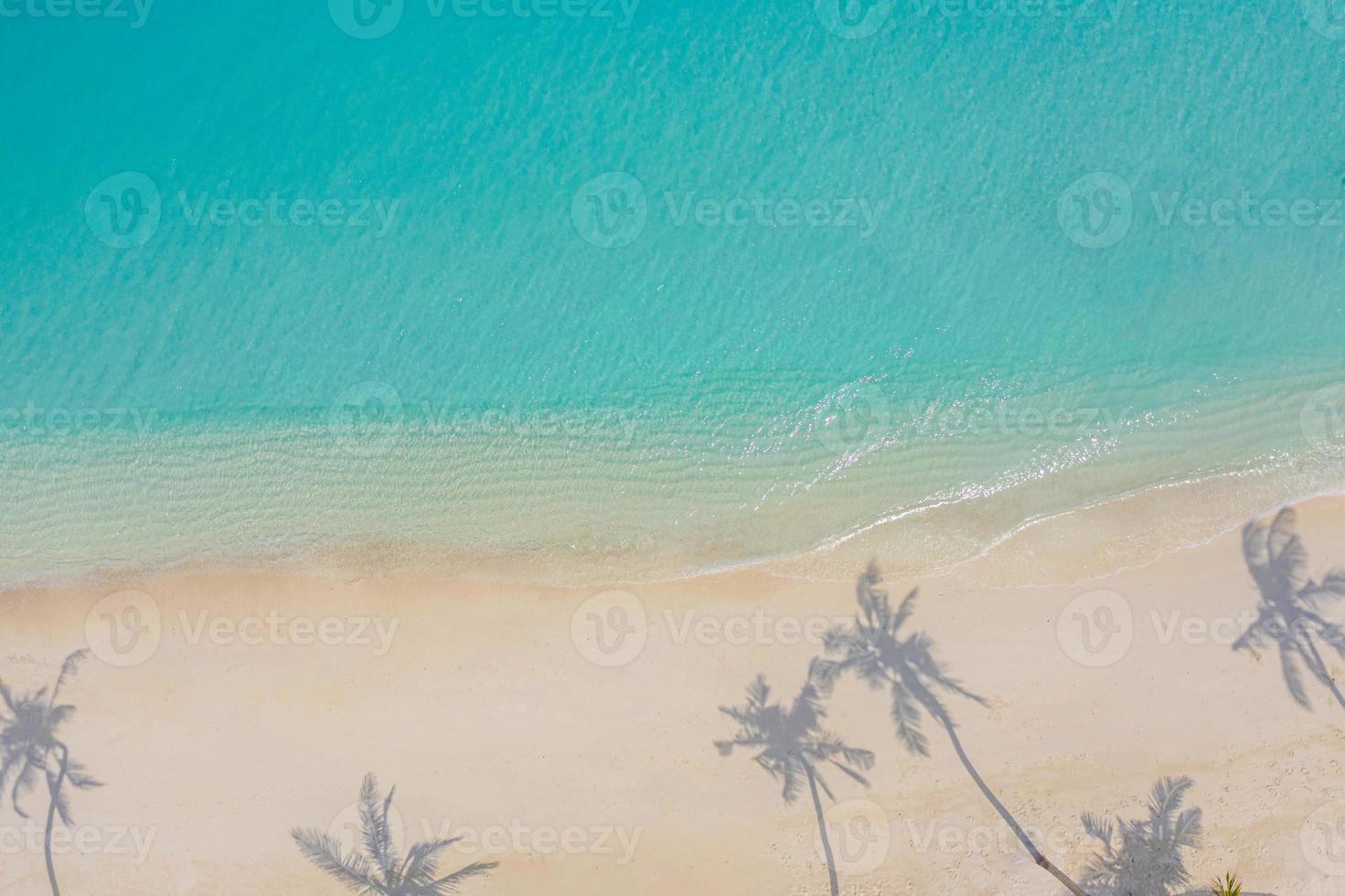 cenário de paraíso aéreo. paisagem aérea tropical, vista do mar com folhas de palmeira sombras incrível mar e lagoa praia, natureza tropical. banner de destino de turismo exótico, férias de verão foto