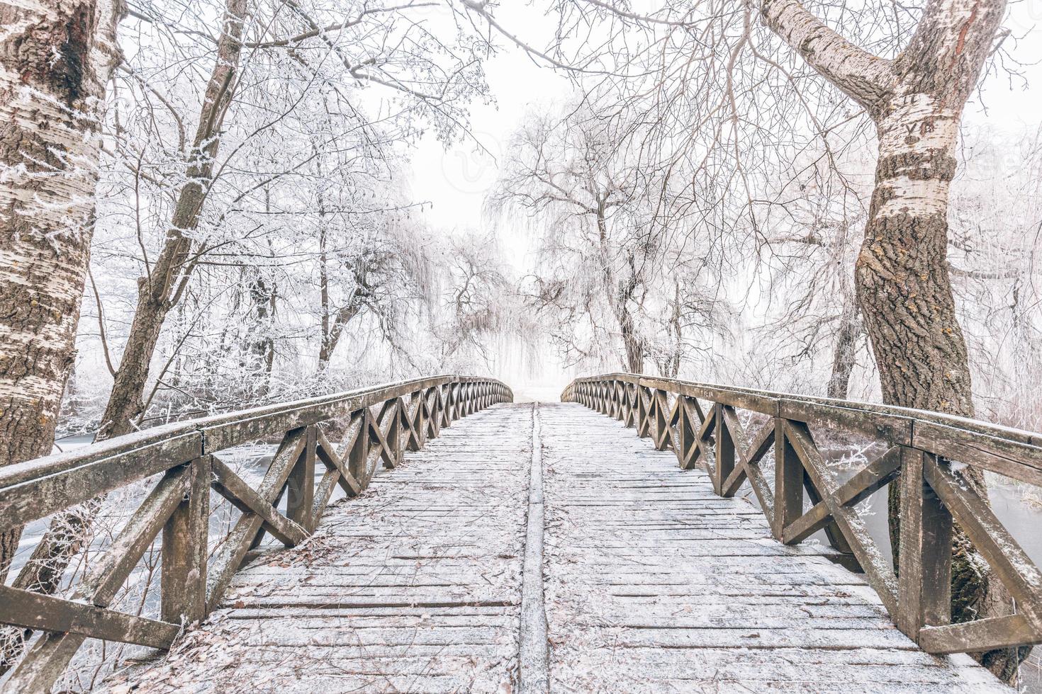 cena de inverno no jardim botânico, mostrando uma ponte sobre água congelada e árvores cobertas de neve fresca foto