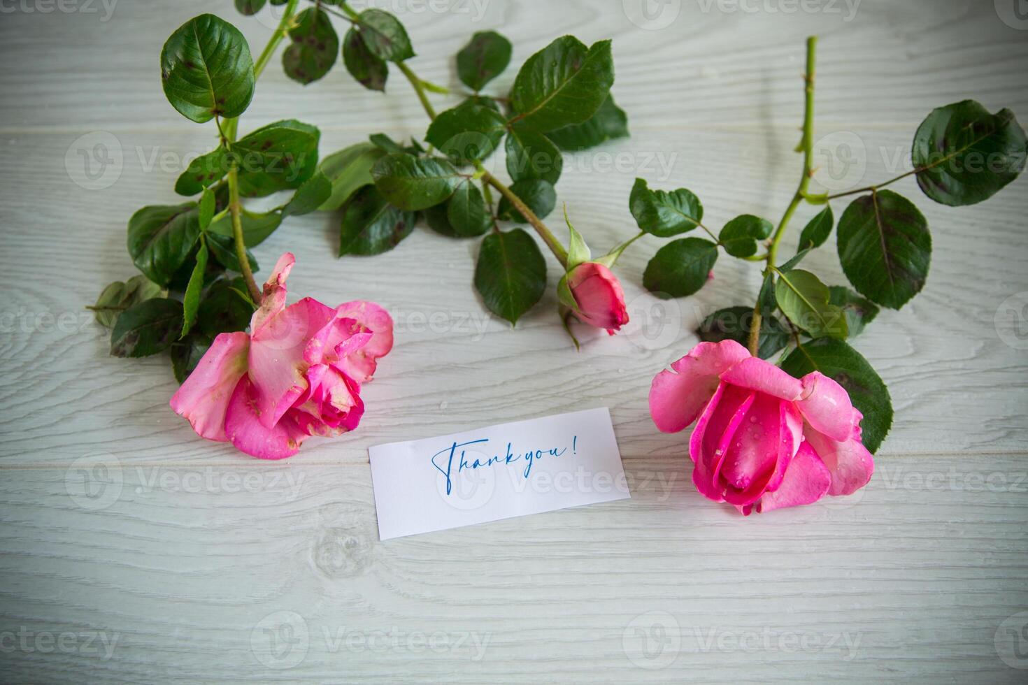 Rosa lindo verão rosas em de madeira mesa foto