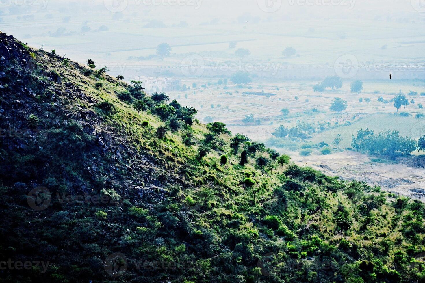 uma lindo panorama foto