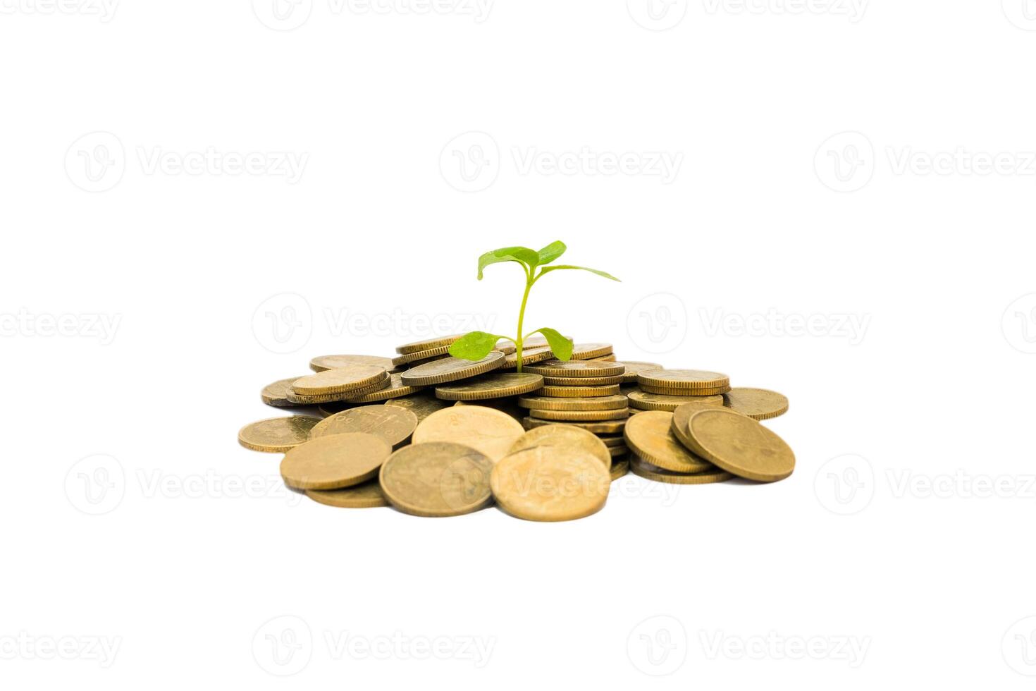 verde brotar crescendo em pilha ouro moedas em fundo foto
