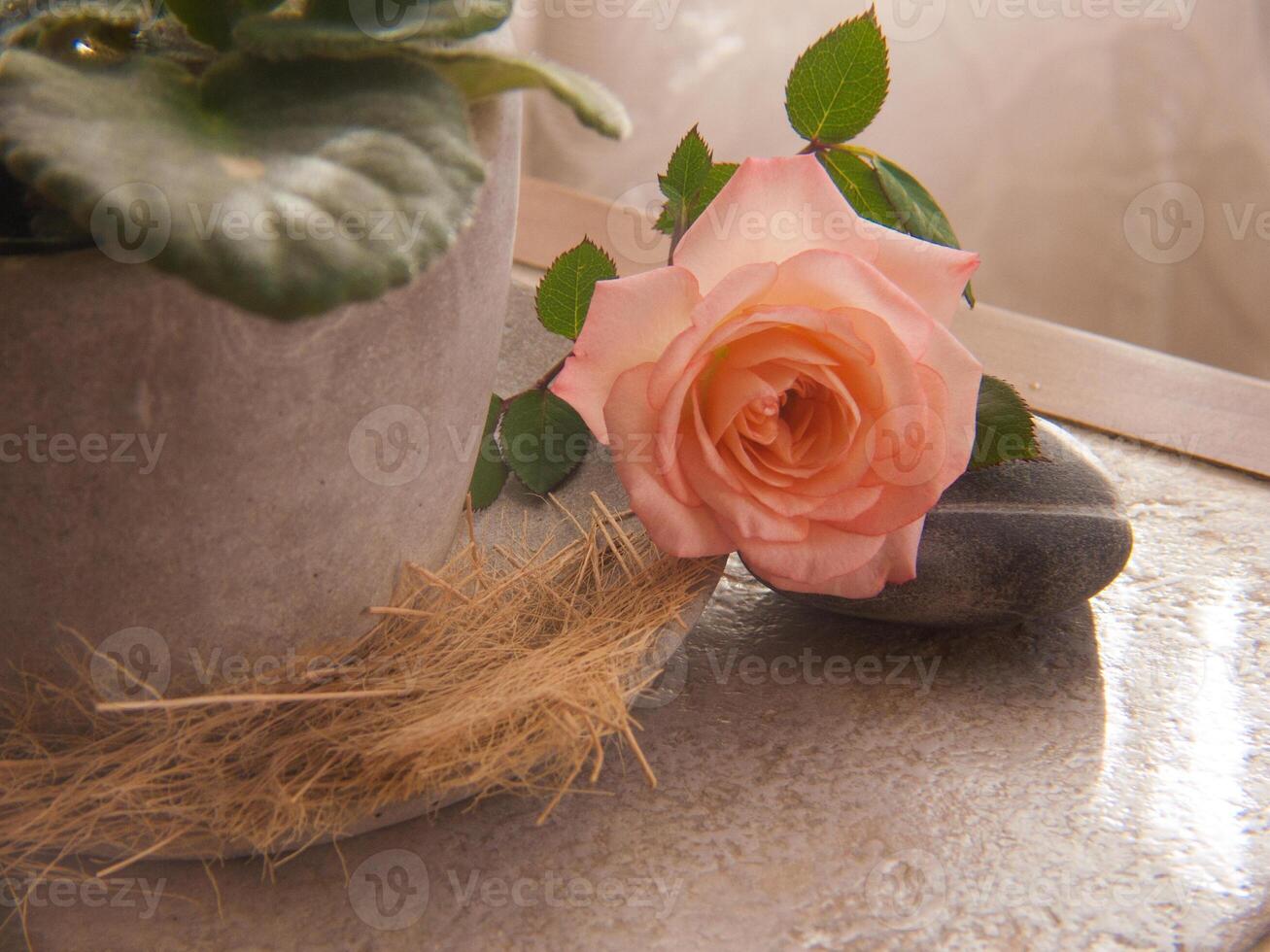 uma flor sentado em uma mesa Próximo para uma Rocha foto