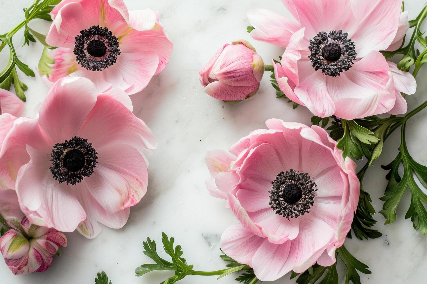 ai gerado Rosa anêmonas em uma branco fundo foto