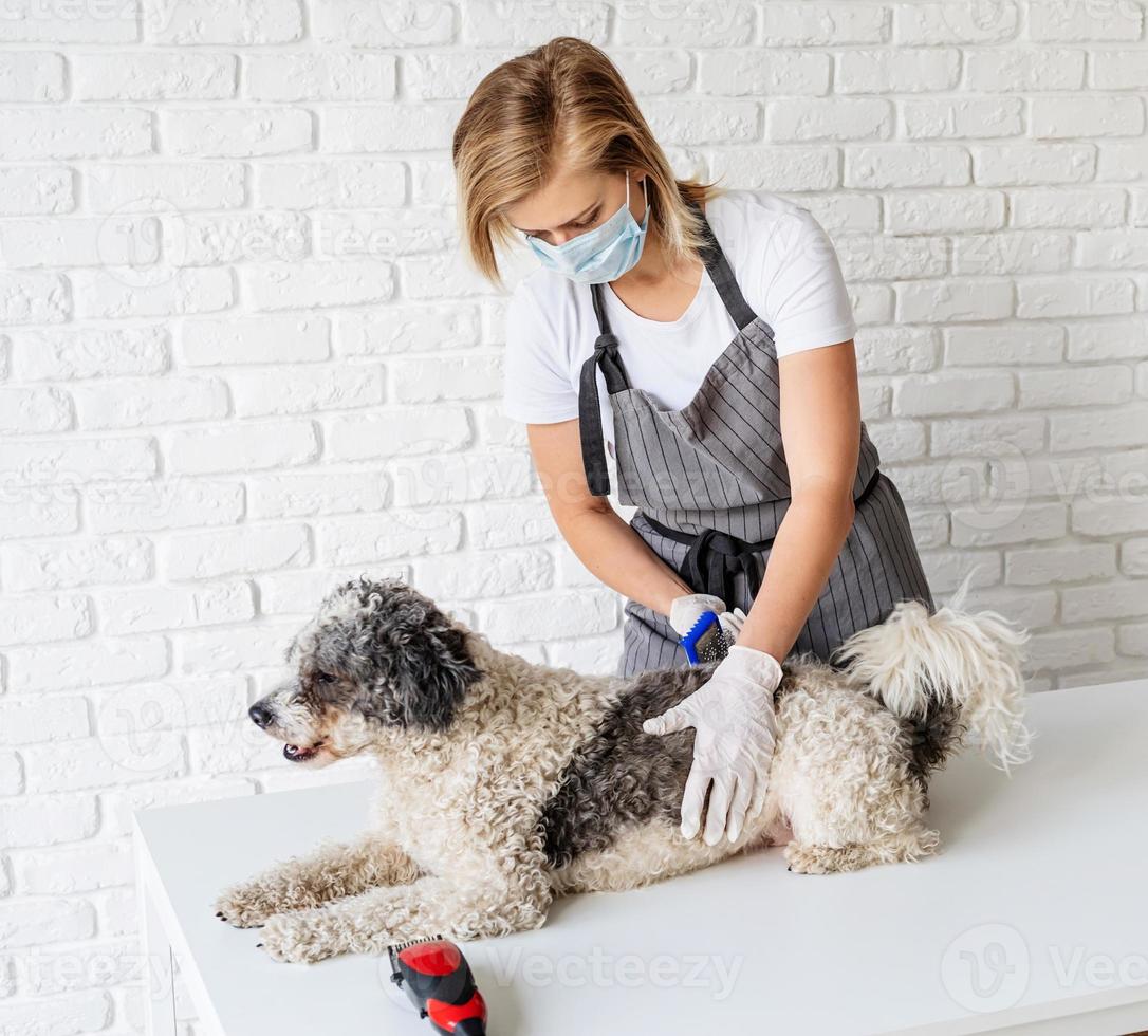 mulher loira com uma máscara e luvas cuidando de um cachorro em casa foto