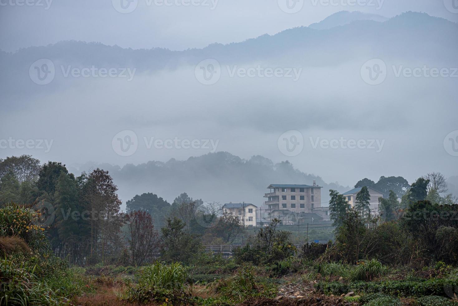 montanha e floresta de chá na neblina matinal foto