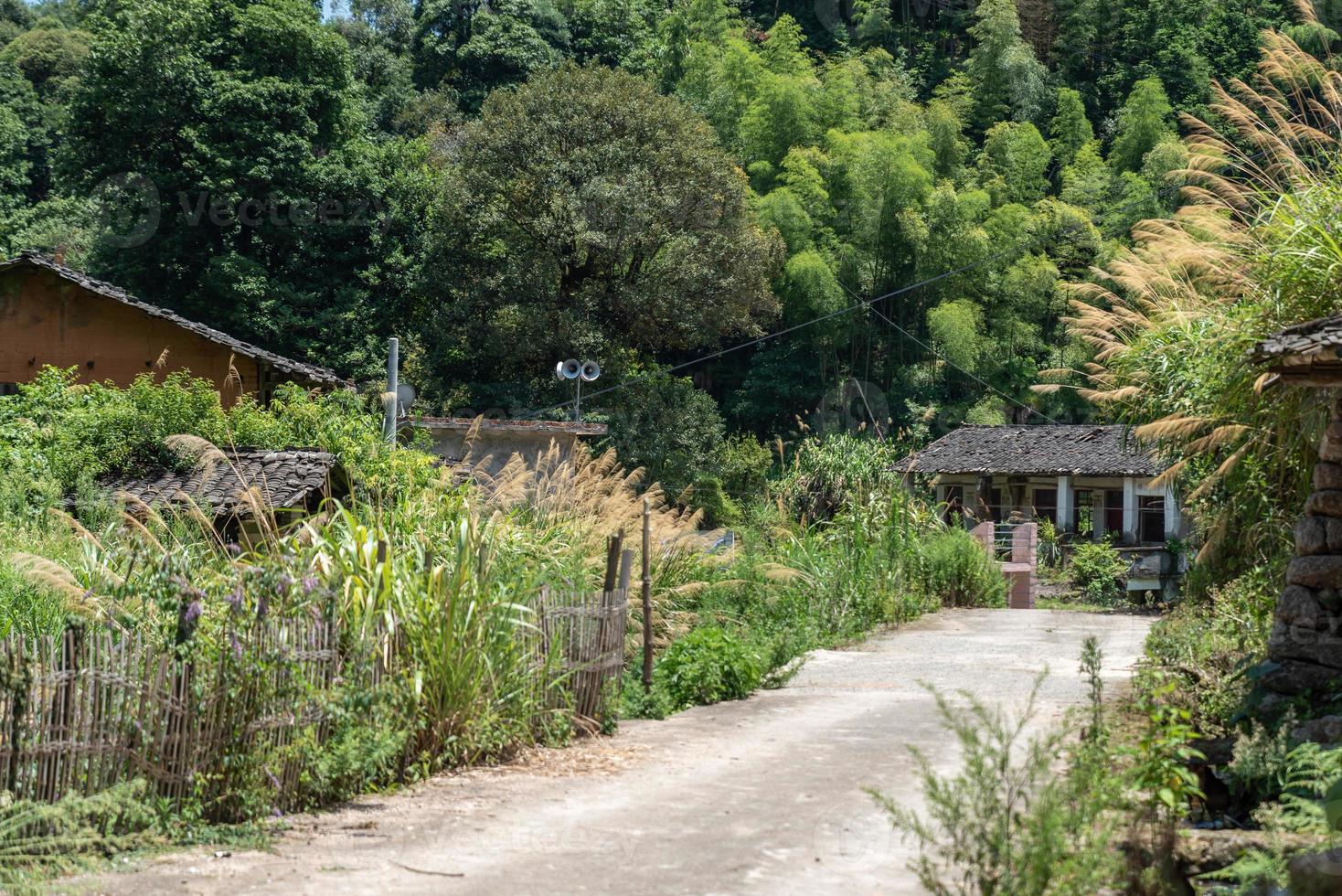 uma estrada que leva a uma longa distância no campo, com casas e florestas verdes ou campos foto