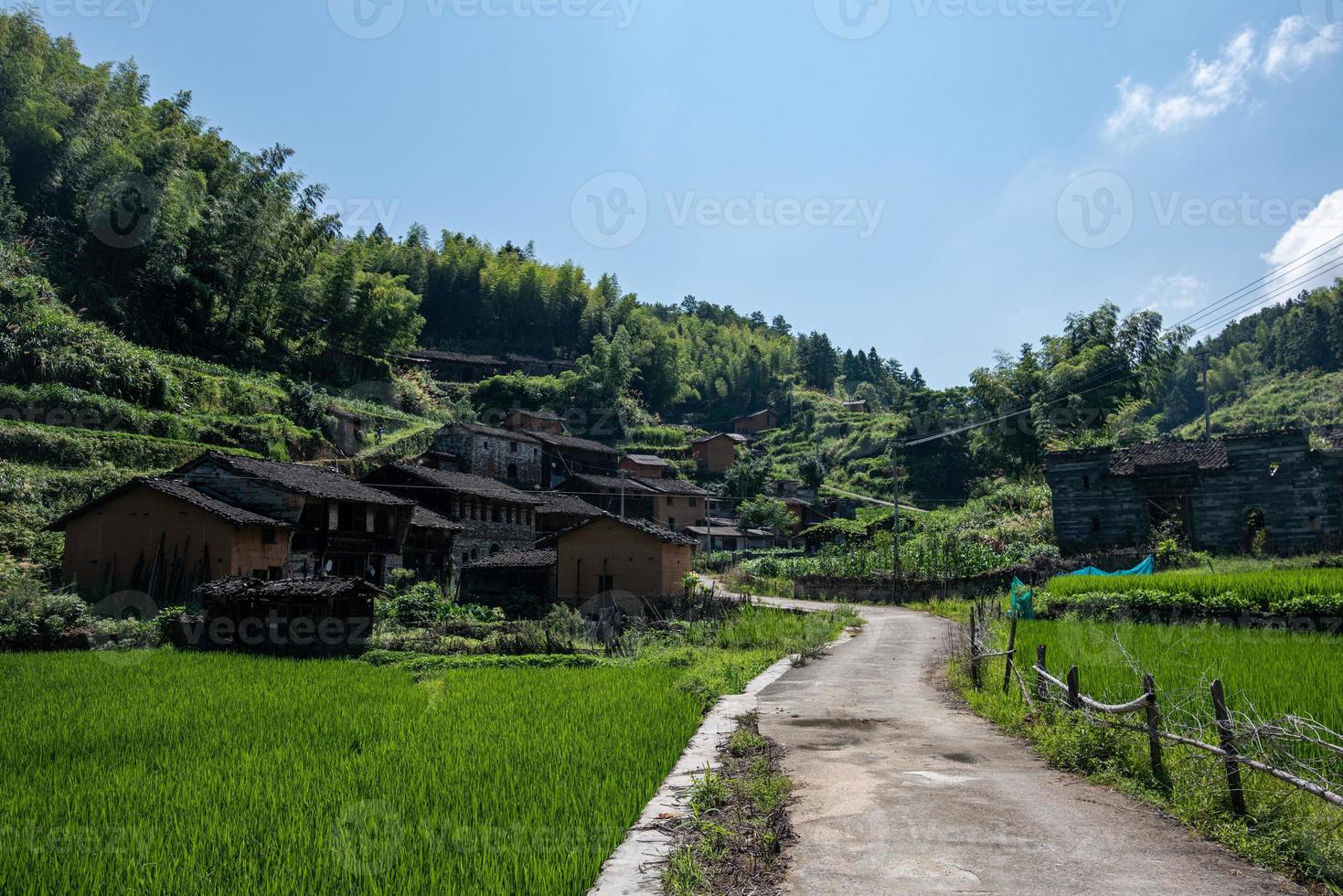 uma estrada que leva a uma longa distância no campo, com casas e florestas verdes ou campos foto