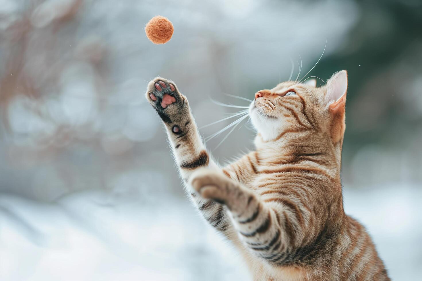 ai gerado patas e jogar uma dia dentro a vida do uma feliz gato foto