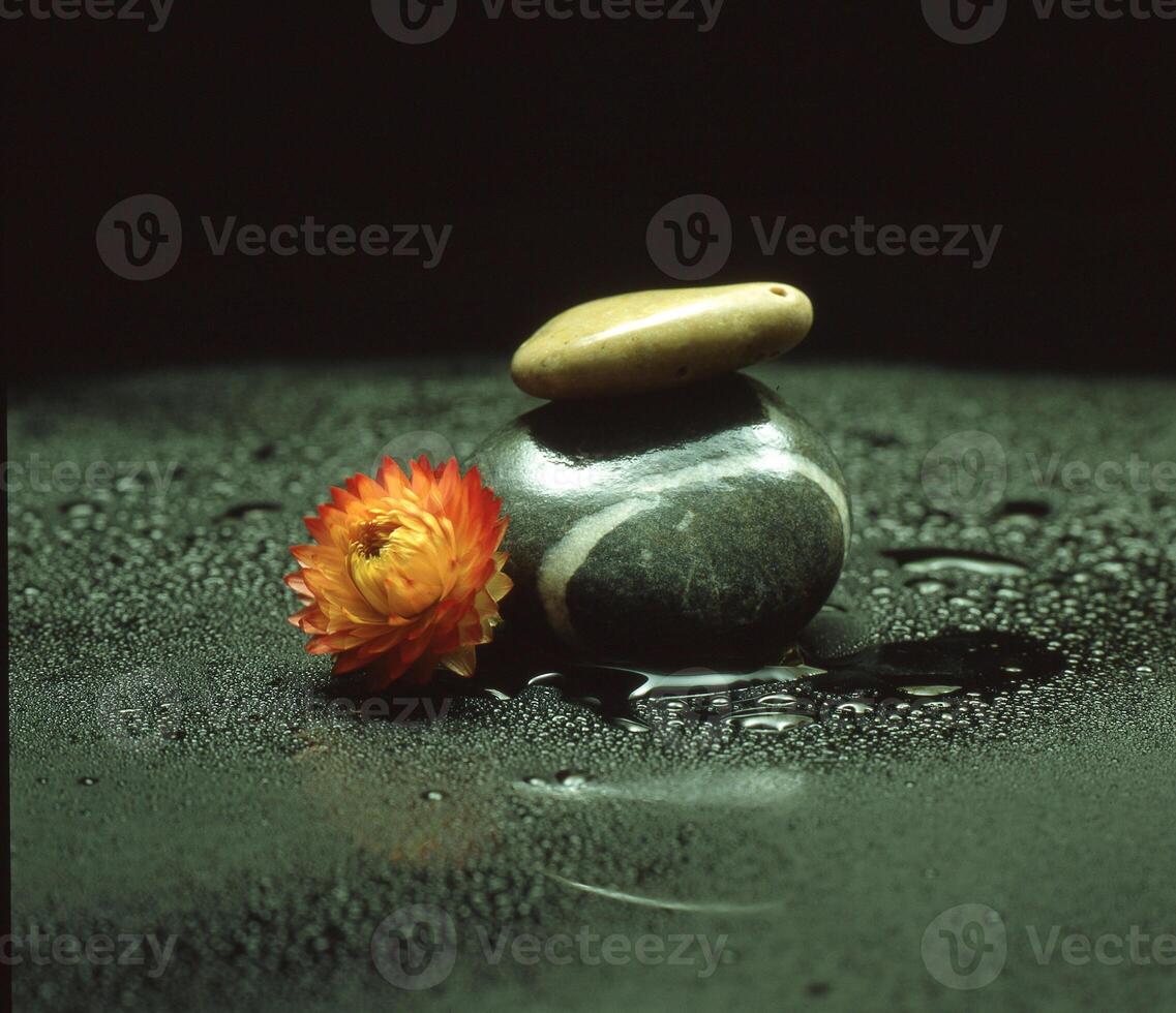 uma flor e uma Rocha sentado em uma molhado superfície foto
