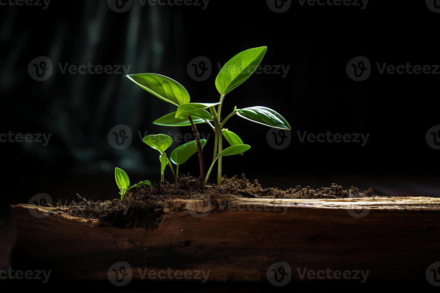 3d illustration conceito de energia renovável dia da terra ou proteção ambiental protege as florestas que crescem no solo e ajudam a salvar o planeta. foto