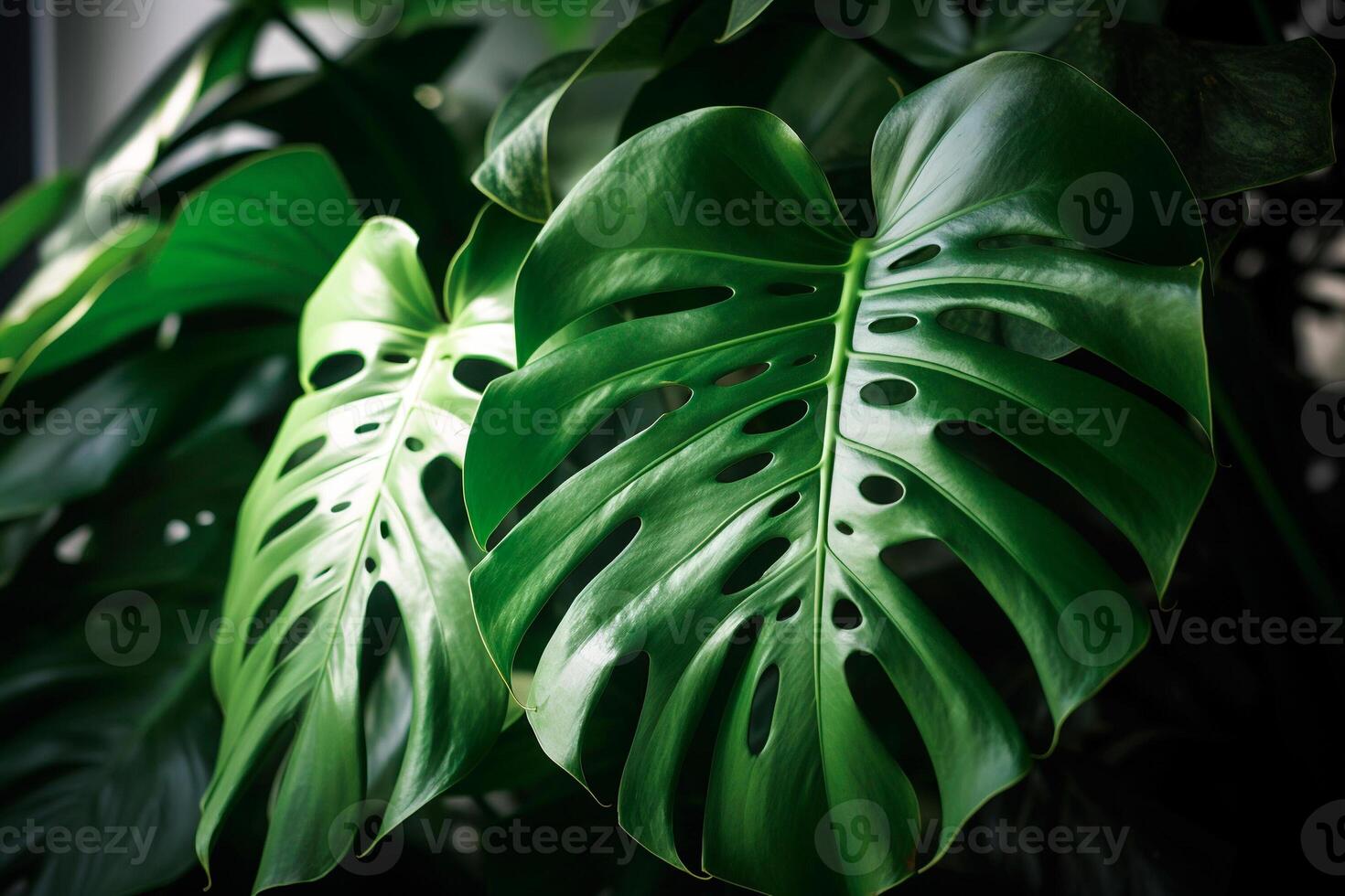 ai gerado monstera fechar-se, verde plantar fundo foto