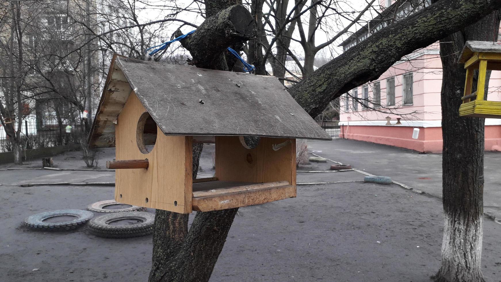alimentadores de pássaros artesanais pendurados em galhos de árvores foto