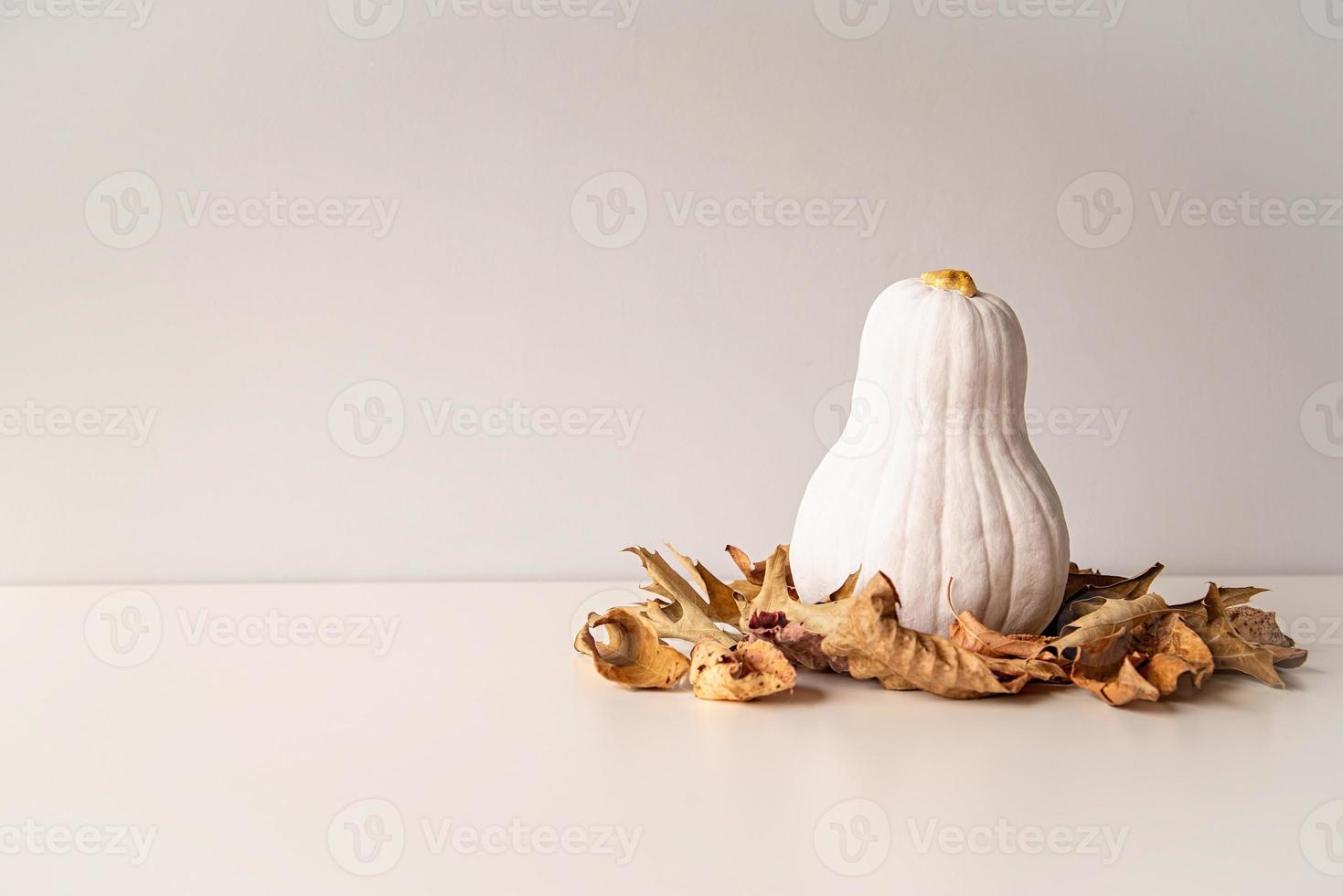 Abóbora moderna de cor branca com haste dourada na pilha de folhas secas de outono na mesa branca com espaço de cópia foto