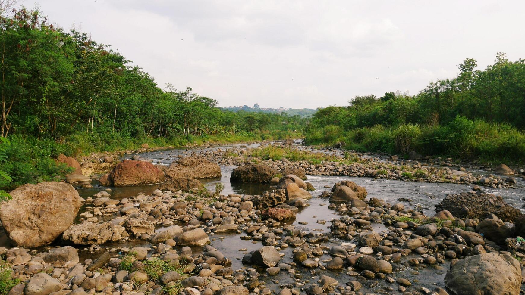 vista de um rio e floresta na ásia foto