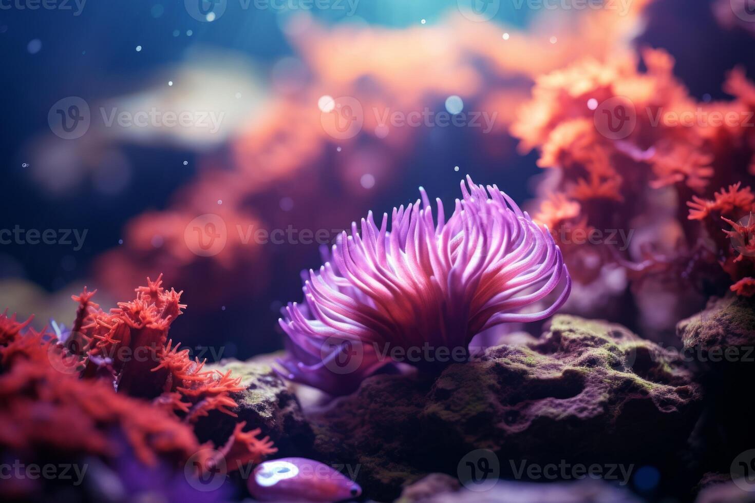 ai gerado embaixo da agua lindo colorida dançando recife anêmona grupo coral tropical animal anemonefish natureza sal água peixe tanque aquário. ecologia snorkel mergulho ecossistema de Meio Ambiente Salve  planeta foto