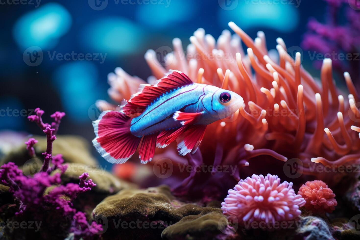 ai gerado fofa colorida grupo embaixo da agua peixe mar oceano aquário lindo tropical coral recife. oceanário animal animais selvagens marinho ecologia panorama água natureza snorkel mergulho ecossistema foto