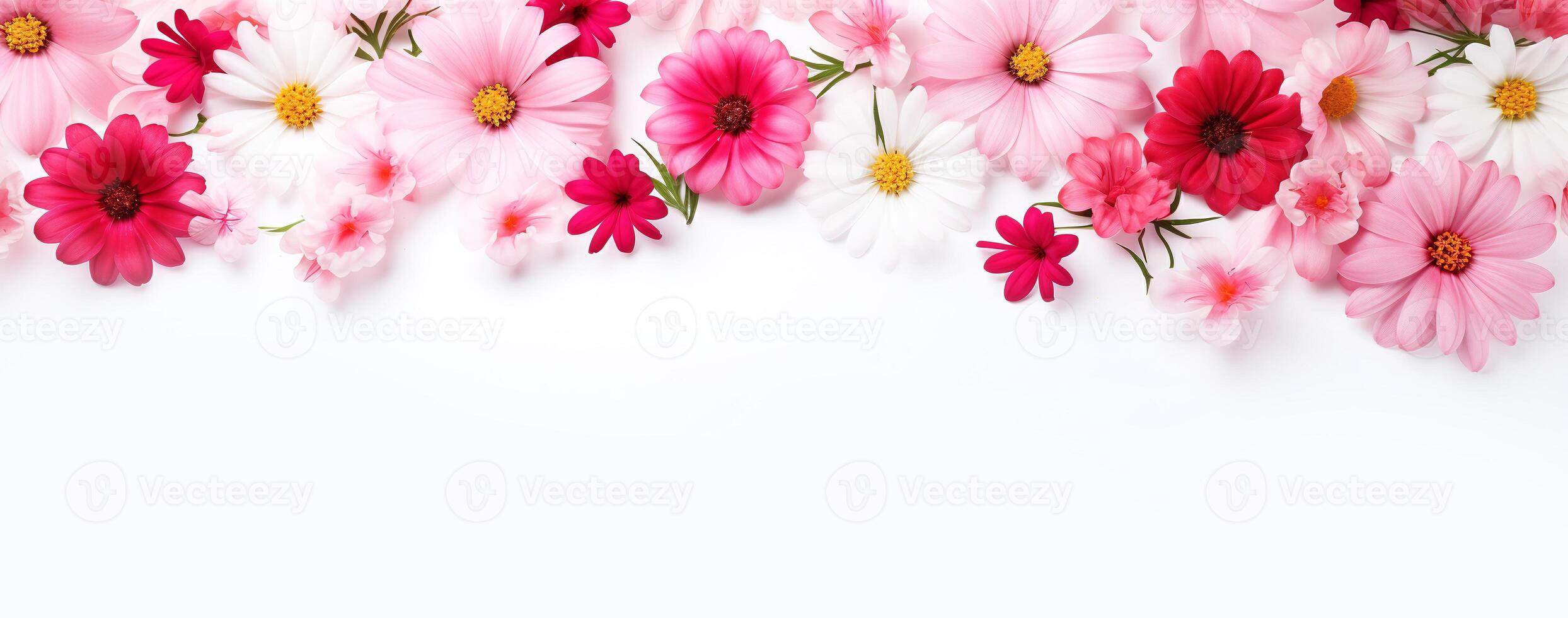 ai gerado vibrante Rosa e vermelho floral bandeira, perfeito para Primavera desenhos, Casamento convites, e rede cabeçalhos em uma branco pano de fundo. foto
