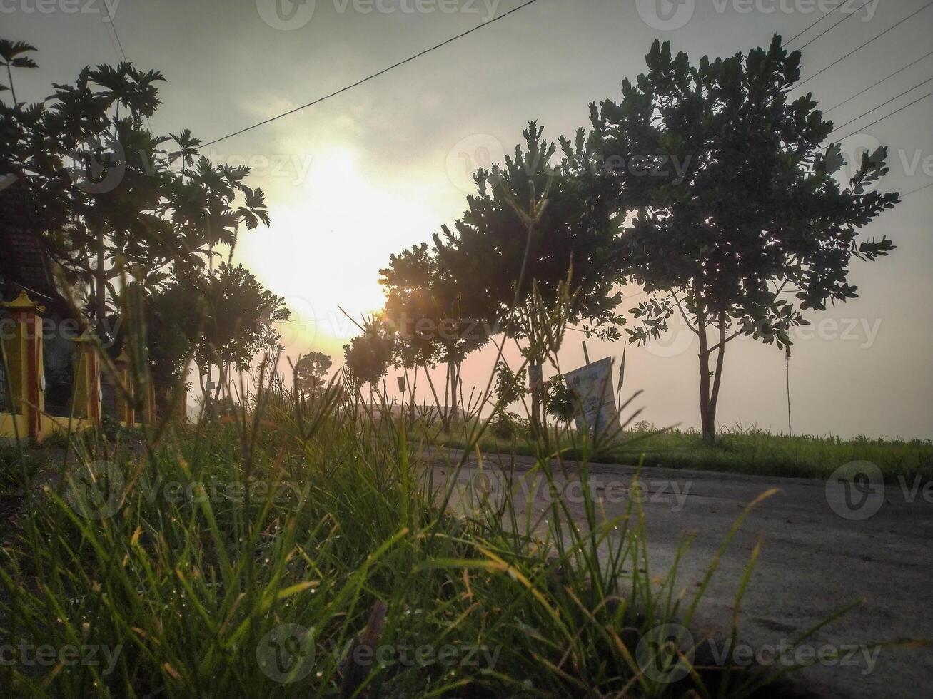 uma estrada do uma pequeno rural Vila dentro a manhã foto