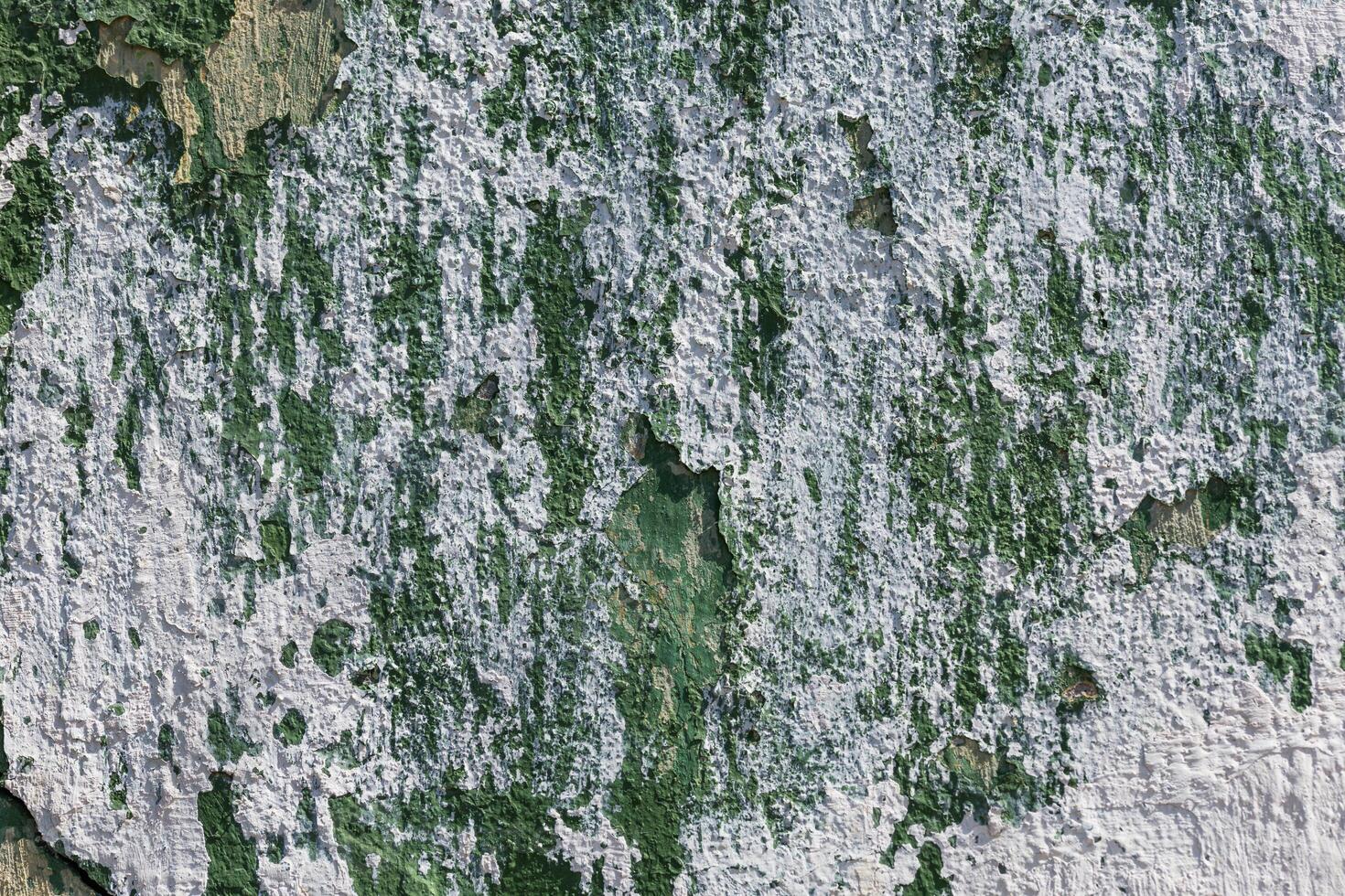 gasto descascando parede de tinta verde com manchas de gesso branco foto