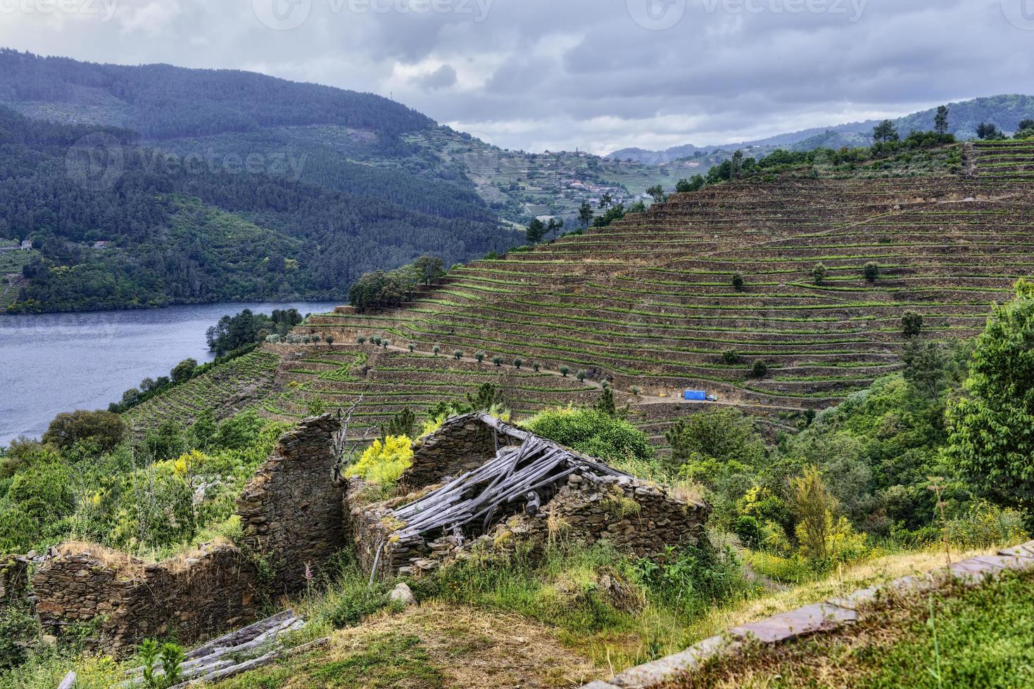 paisagem de vinhas em socalcos no rio minho em ribeira sacra, galiza, espanha foto
