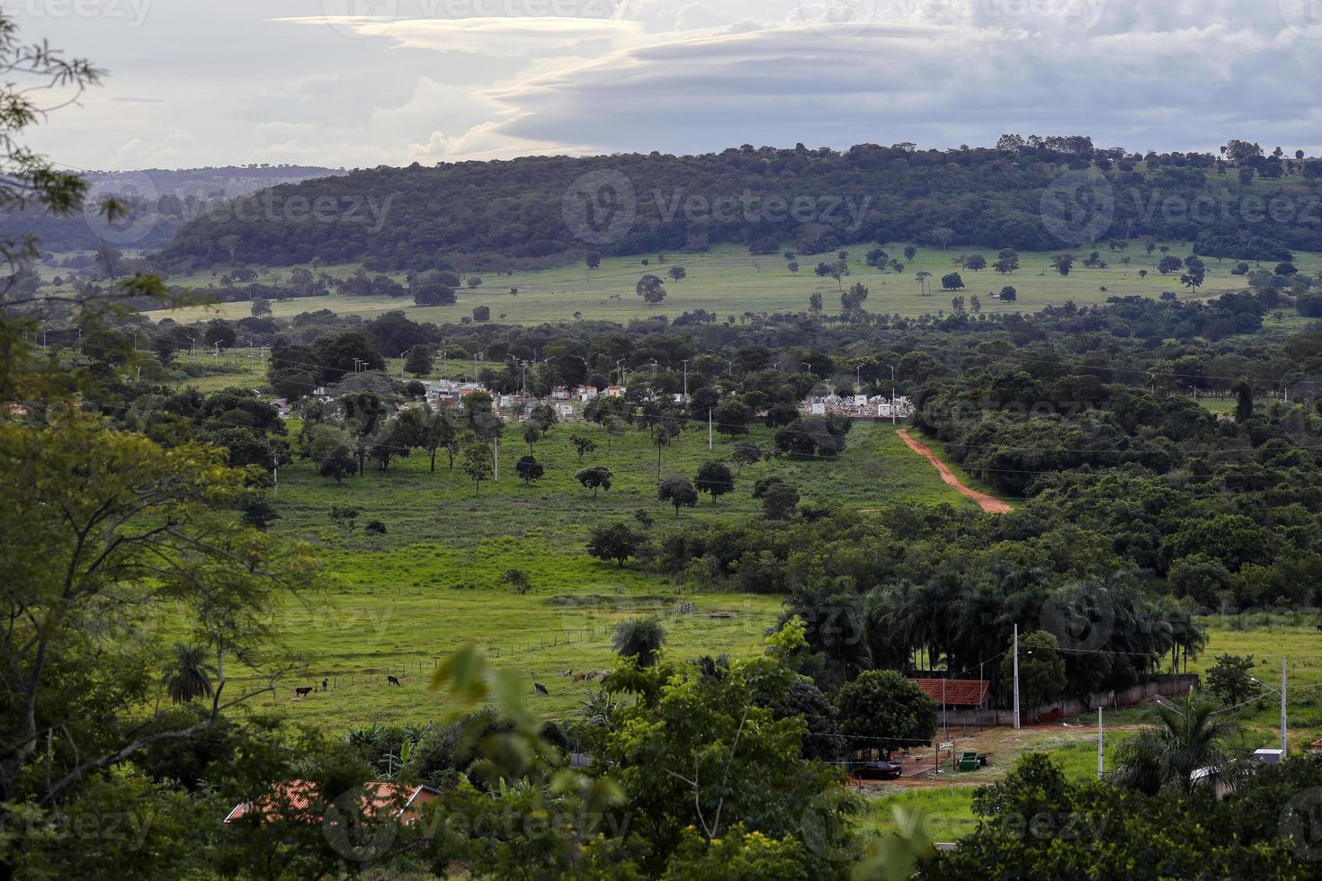 cemitério municipal de Cassilândia foto