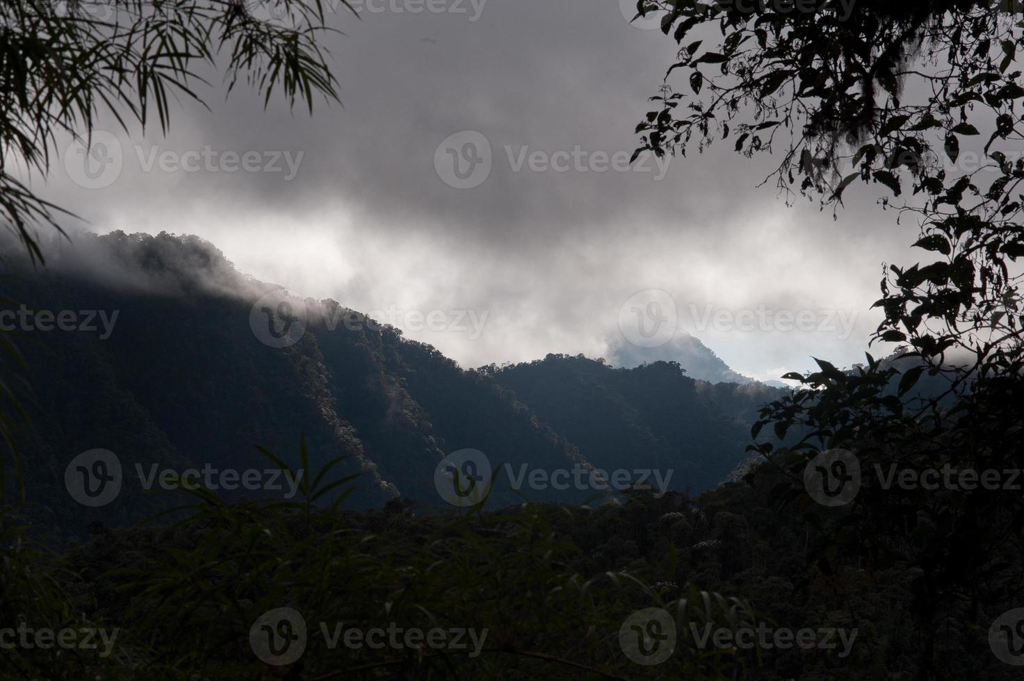 Visão geral da floresta em nuvem andes foto