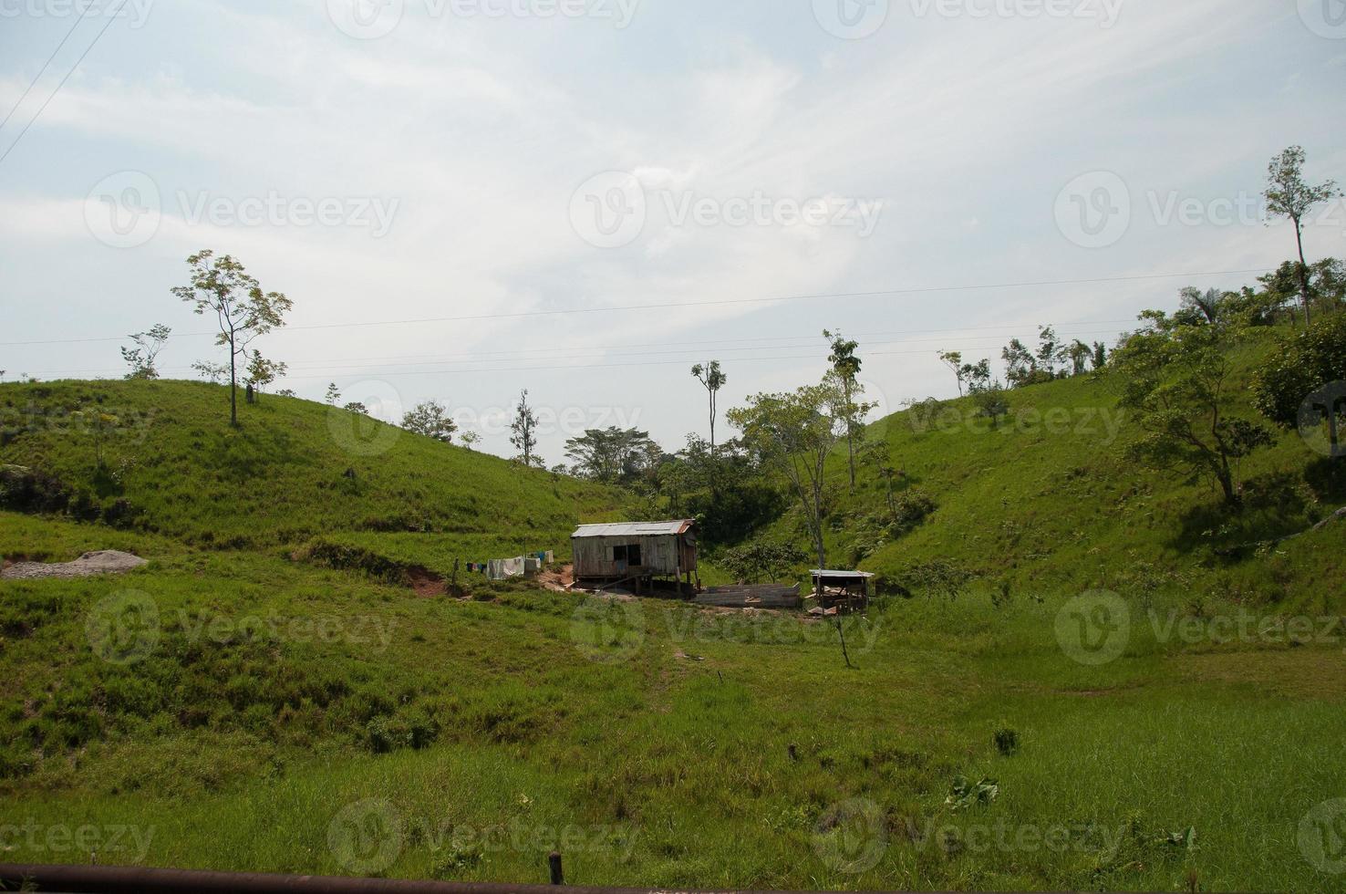 área desmatada na floresta amazônica, equador foto