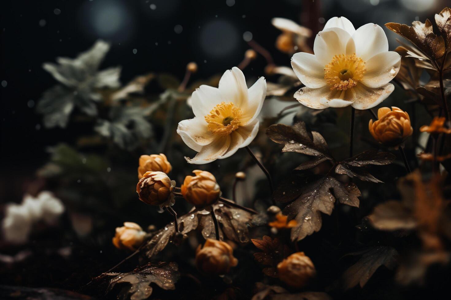 ai gerado lindo branco flores dentro a jardim às pôr do sol. natureza fundo. foto